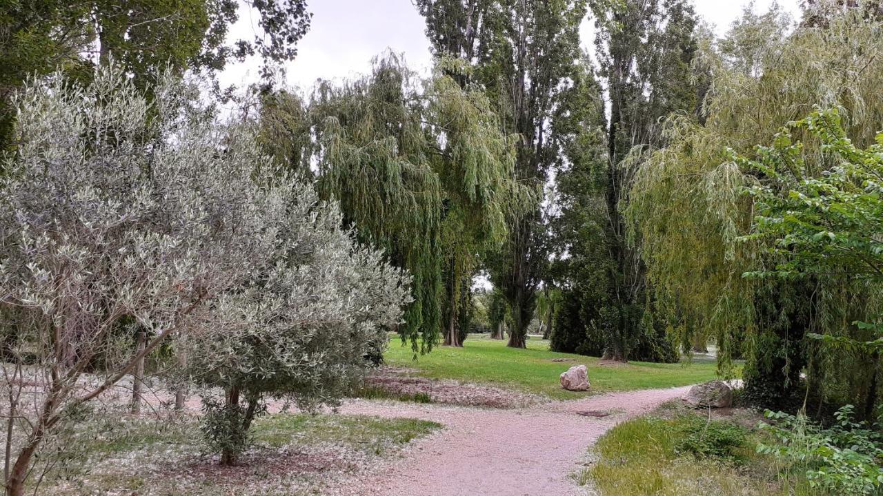 Studio 24 m2 - Hameaux de Camargue - village 9 - 13200 Arles Extérieur photo